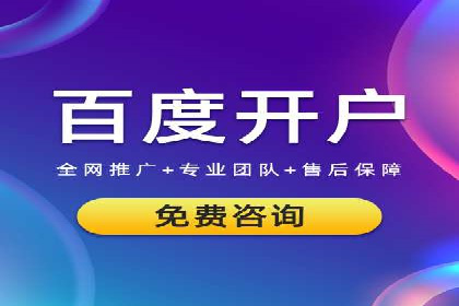 网络推广中的竞价广告：成功案例解析